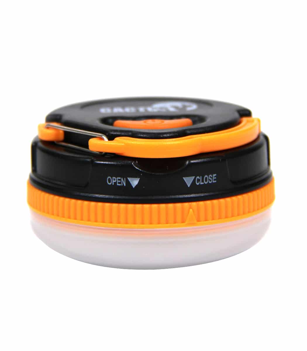 ��� �����- CACTUS