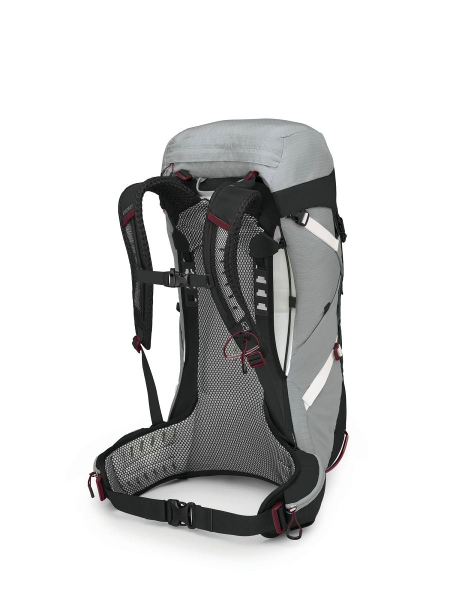 ��� �� 36 ���� - OSPREY STRATOS 