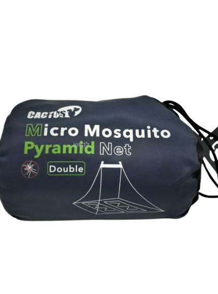 ���� �����  ������ - CACTUS 