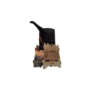 ���� ����� ���