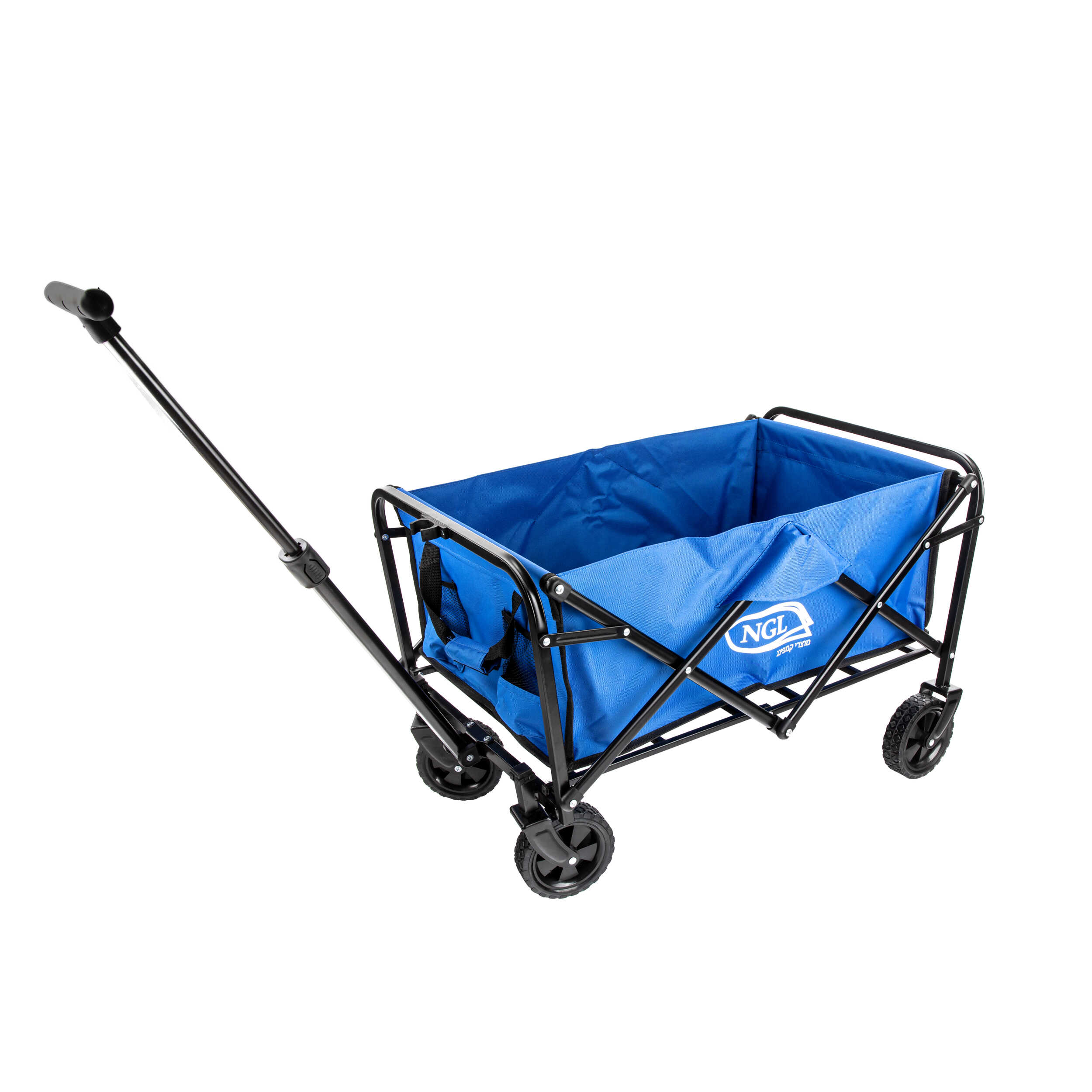 ���� ������ ������ NGL