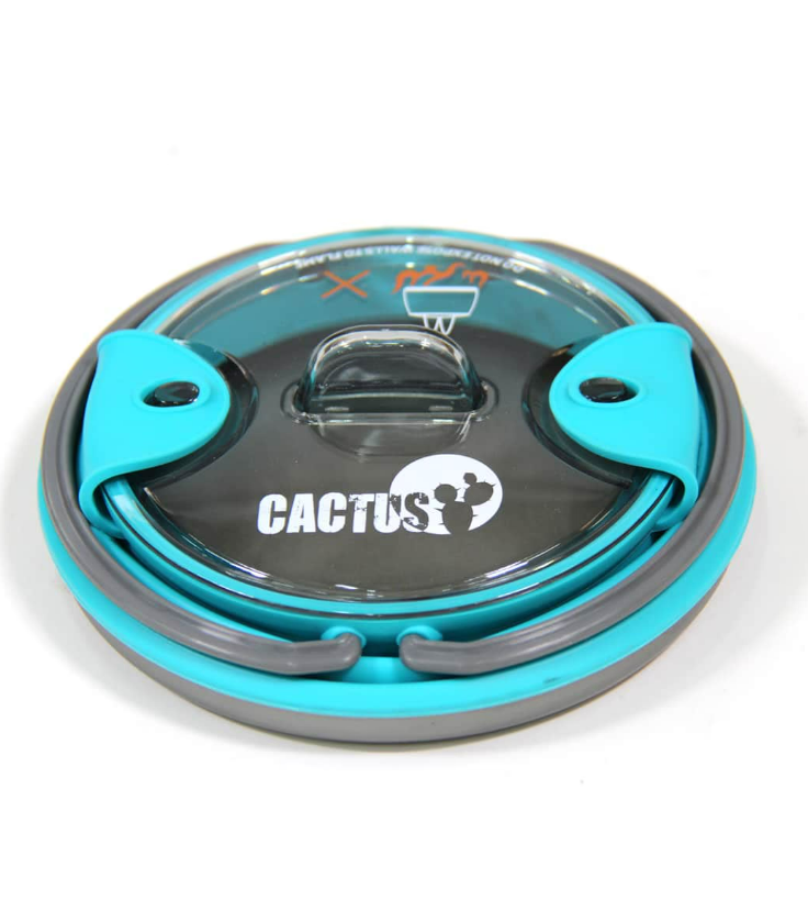 ������ ������� ����� Cactus