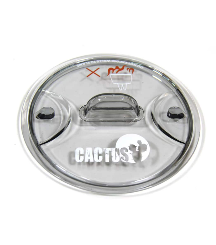 ������ ������� ����� Cactus