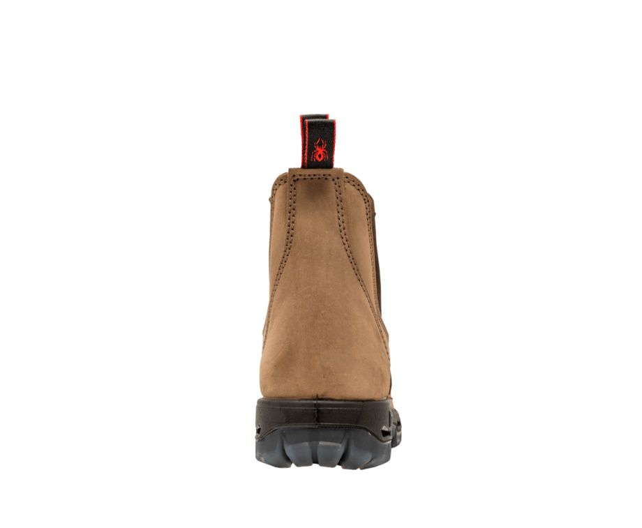 REDBACK � UBCH ���� ����